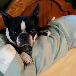 Meet your Posher, Pam